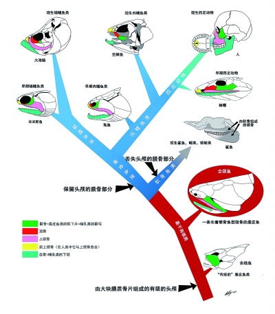 学者发现