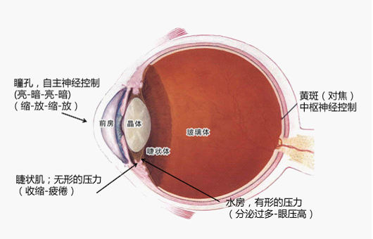 全国爱眼日 明基不闪屏为心灵之窗护航