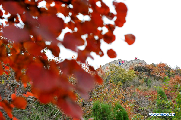 Great Wall surrounded by red leaves
