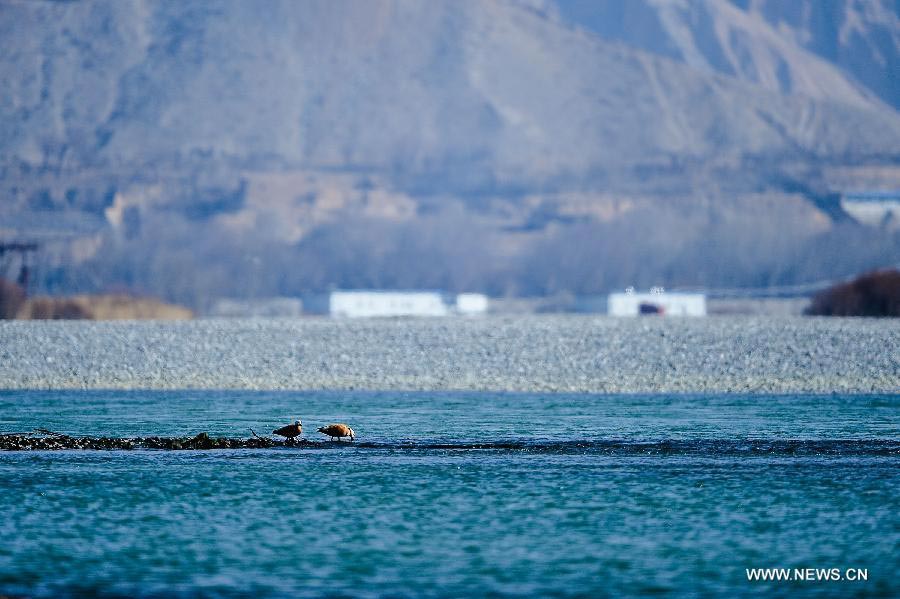 Beautiful winter scenery of Yellow River in NW China