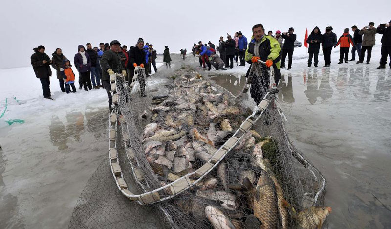 Winter fishing kicks off in Xinjiang