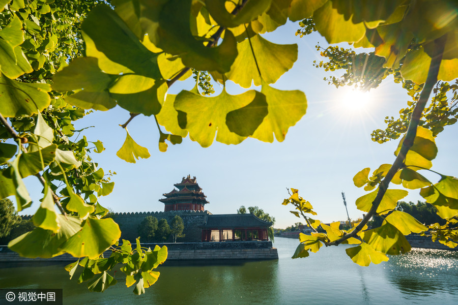 A gloriously clear day at the Palace Museum