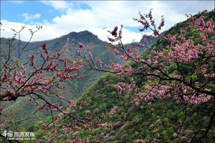 Spring scenery of Tangjiahe National Nature Reserve