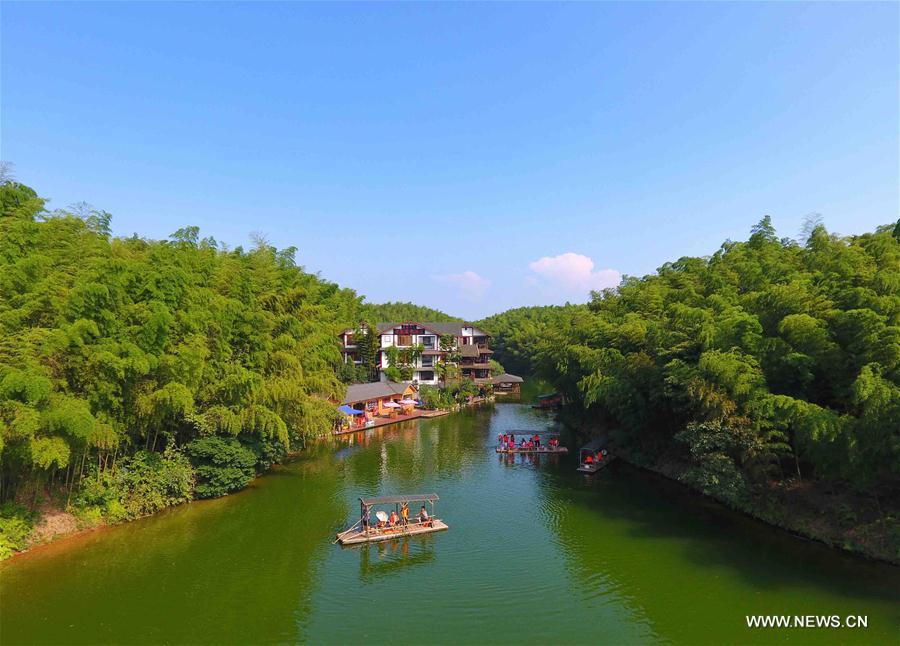 Scenery at Bamboo Sea scenic spot in SW China
