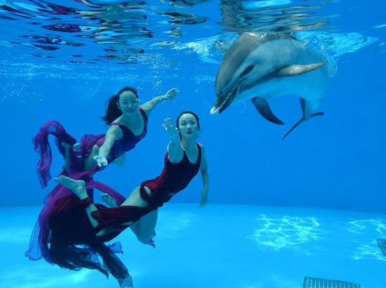 文婷姐妹拍水下婚纱照与海豚共舞