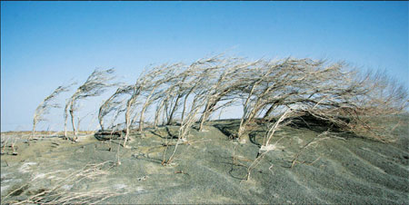 Tide of progress sees water levels fall