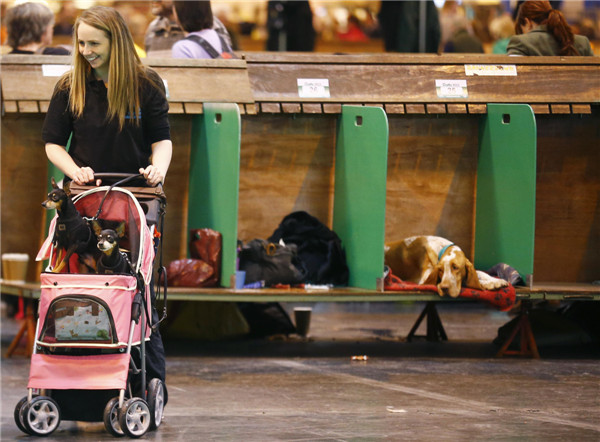 Crufts dog show kicks off in Birmingham, England