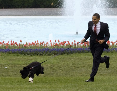 Obamas' new dog Bo met the press at White House