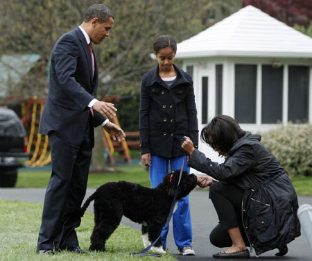 Obamas' new dog Bo met the press at White House