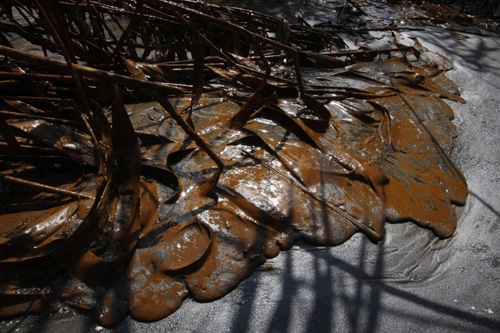 Experts debate diverting Mississippi to fight oil spill