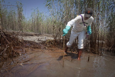 Heavy oil hits Louisiana's fragile marshland