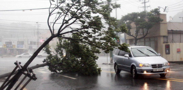 Typhoon Bolaven lashes S Korea, killing 8