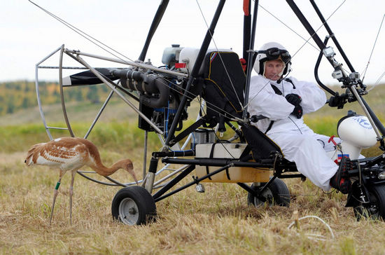 Putin takes to sky to lead flight of cranes