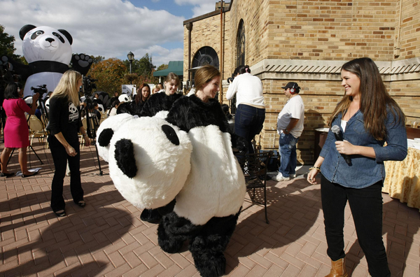 'Pandas' hot to globe-trot