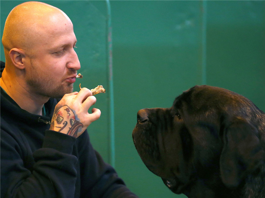 Crufts dog show kicks off in Birmingham