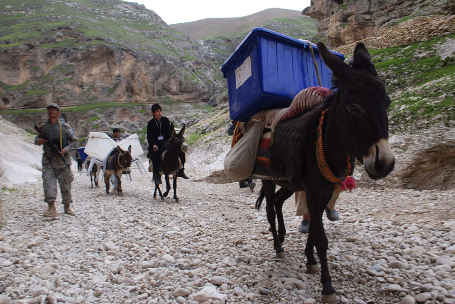 Ballot boxes on donkeys in Afghanistan