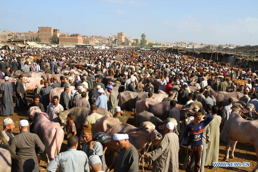 Muslims to celebrate Eid al-Adha in Cairo, Egypt