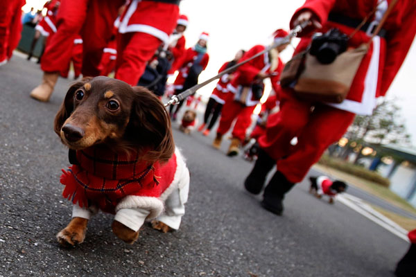 Christmas comes to Tokyo