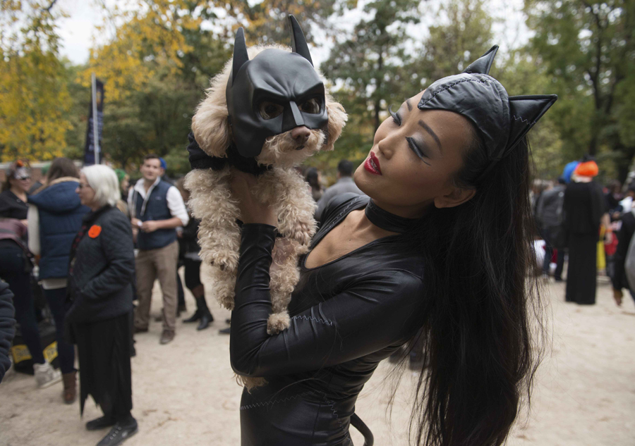 Halloween Dog Parade held in New York
