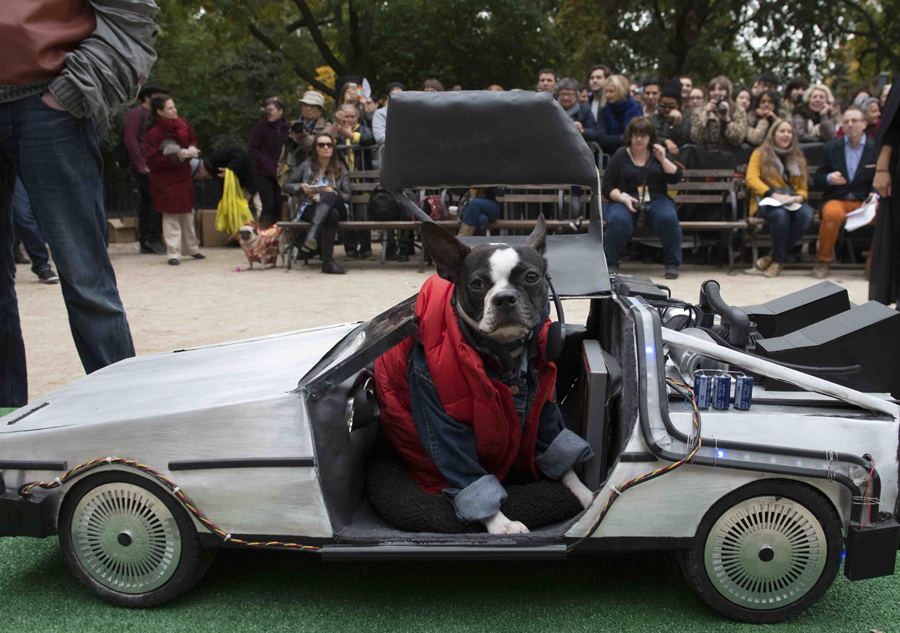 Halloween Dog Parade held in New York