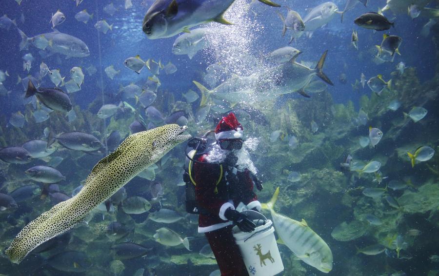 Santa Claus goes diving