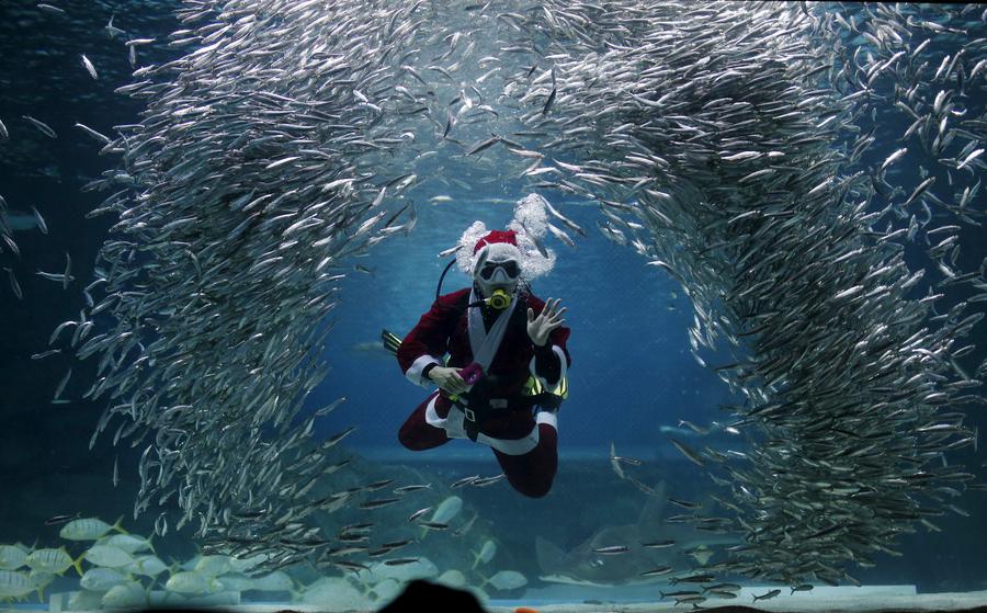 Santa Claus goes diving
