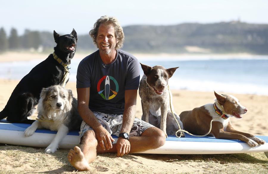 Australia's surfing dogs chase waves, not cats