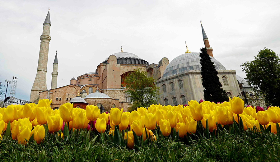 Spring tulips engulf Netherlands, Turkey with beauty