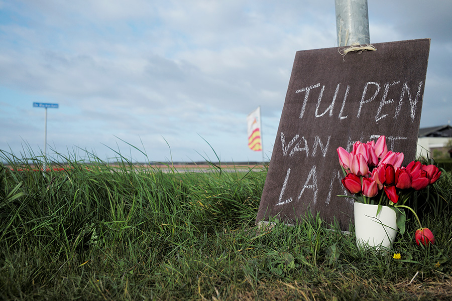 Spring tulips engulf Netherlands, Turkey with beauty