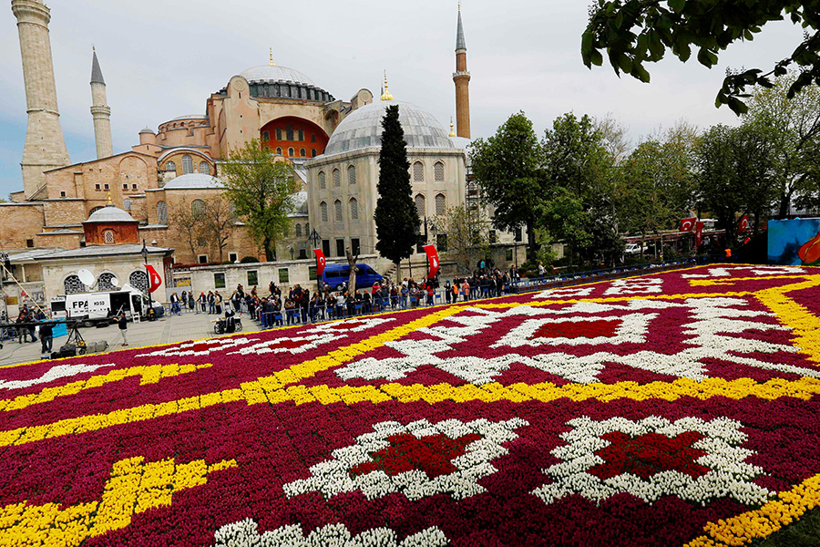 Spring tulips engulf Netherlands, Turkey with beauty