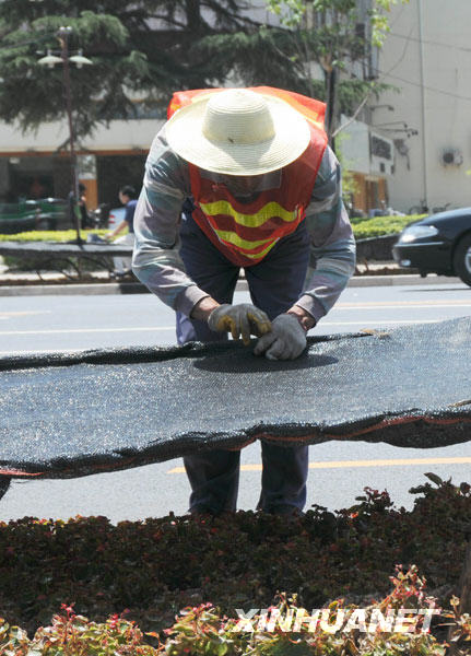 热浪席卷全国17省市 多地区高温超40℃(图)