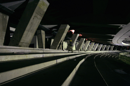 Night view of 'Bird Nest'