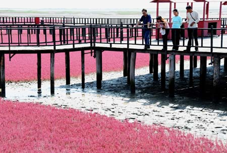 Giant national flag on the red beach