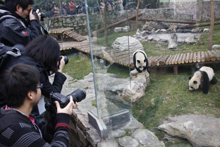 Shanghai Expo giant pandas meet with public