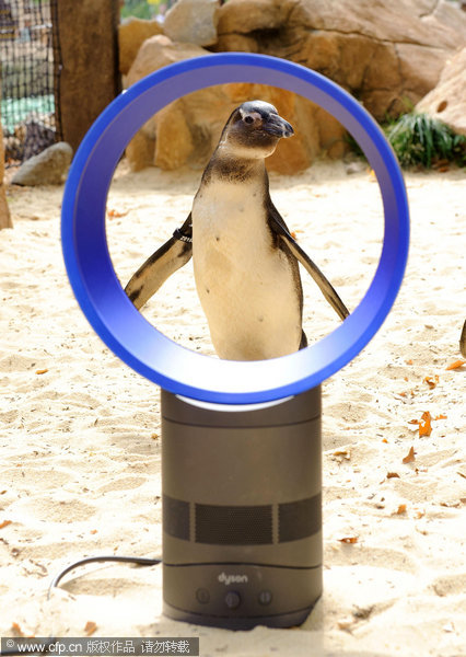Cool fan p-p-picks-up penguins at London Zoo