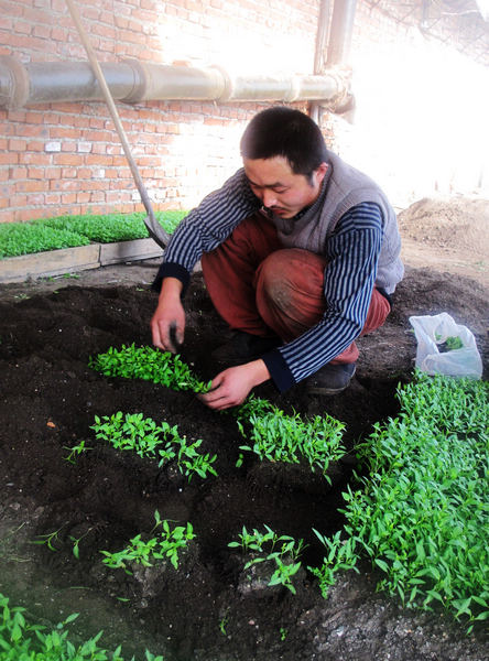 Farm workforce withers as young people leave