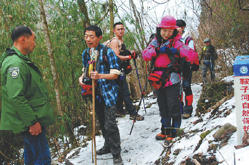 Panda 'love corridor' under threat