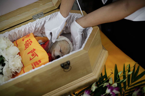 Funeral services for animals seek official recognition