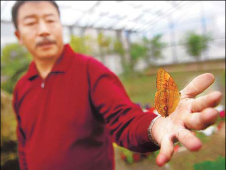 Butterfly wedding dream takes off for former miner