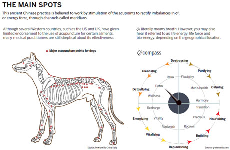 Animals benefit from pin-point accuracy