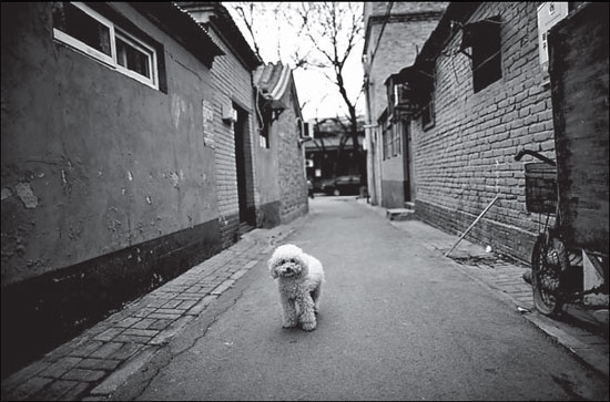 Hutong: history comes alive in lanes