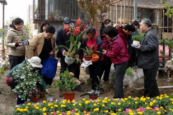 Mini gardens brighten up local community