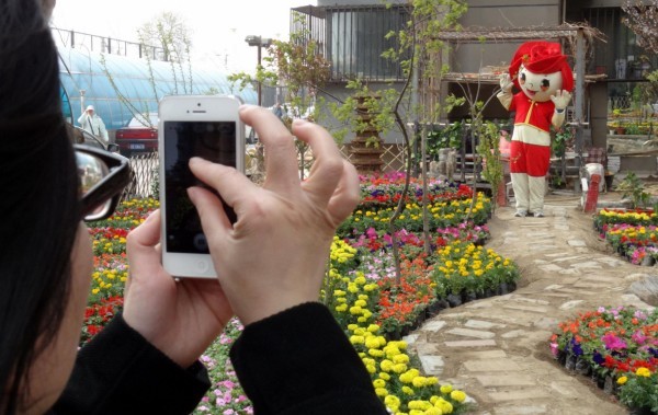 Mini gardens brighten up local community