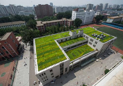 Beijing: Green spaces atop buildings