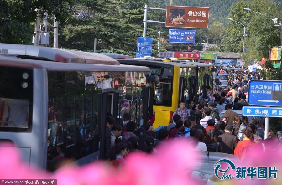 Red leaves lure large crowds to Beijing's Fragrant Hills