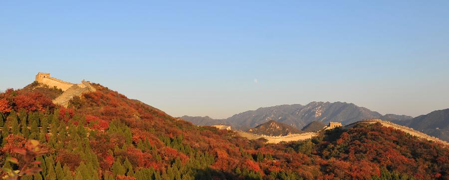 Autumn scenery in Beijing