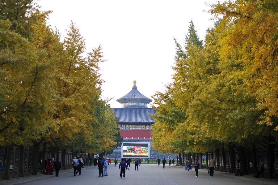 Autumn scenery in Beijing