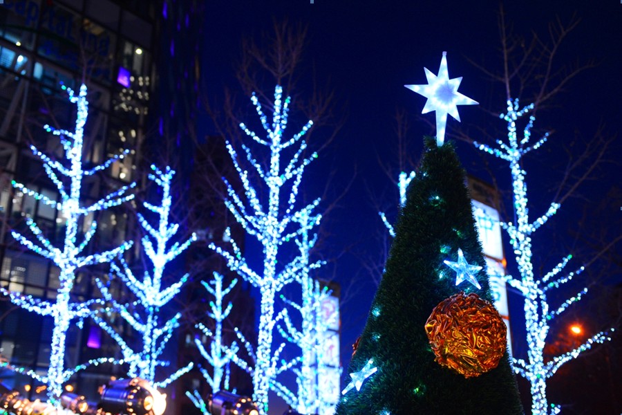 Christmas trees light up the night