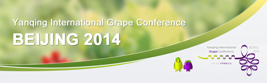 Yanqing International Grape Conference
