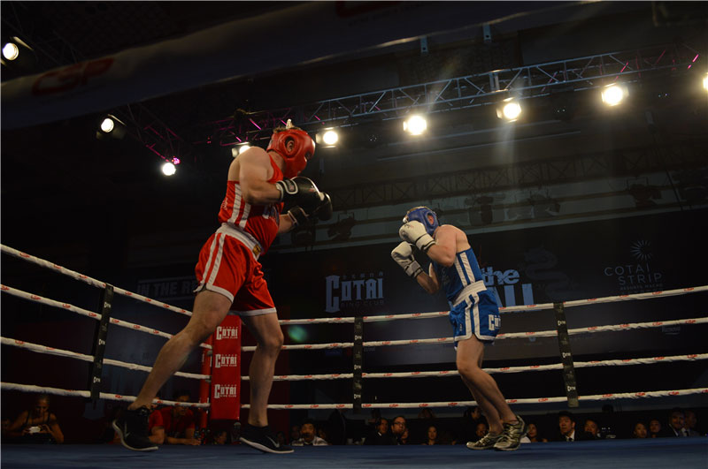 White collar boxing: never too old to fight